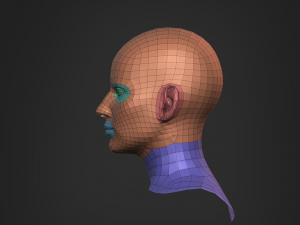 Nosed Foxy Bust Female Head Modelo 3D