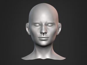 Nosed Foxy Bust Female Head Modelo 3D