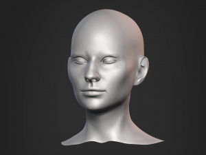 Nosed Foxy Bust Female Head Modelo 3D