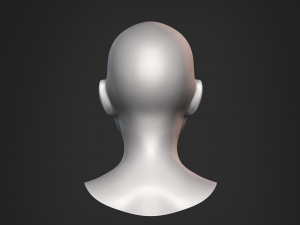 Nosed Foxy Bust Female Head Modelo 3D