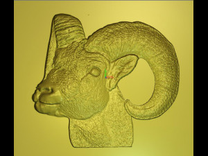sheep argali Modelo 3D
