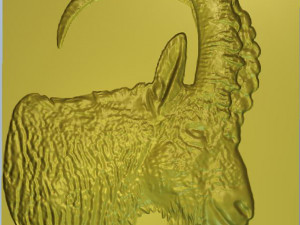 mountain goat argali Modèle 3D