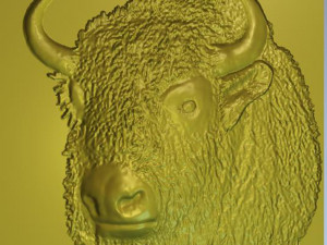 bison 3D Model