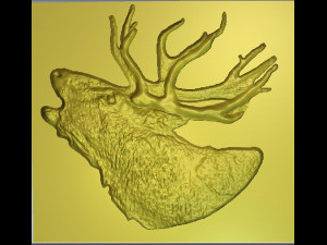 deer maral 3D Model