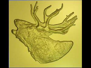 cervo maral Modelo 3D