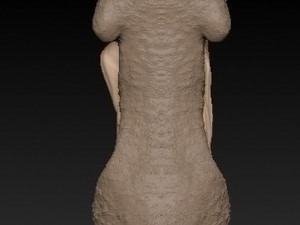 irbis 3D Print Model