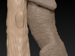 irbis 3D Print Model
