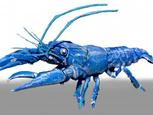 niebieskie raki Model 3D