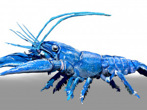 blue crawfish Modèle 3D