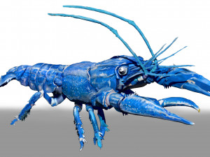 blue crawfish Modèle 3D