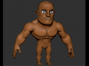 male anatomy 3D Model