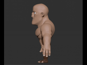 male anatomy 3D Model