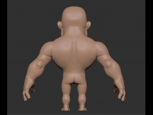 male anatomy 3D Model