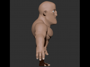 male anatomy 3D Model