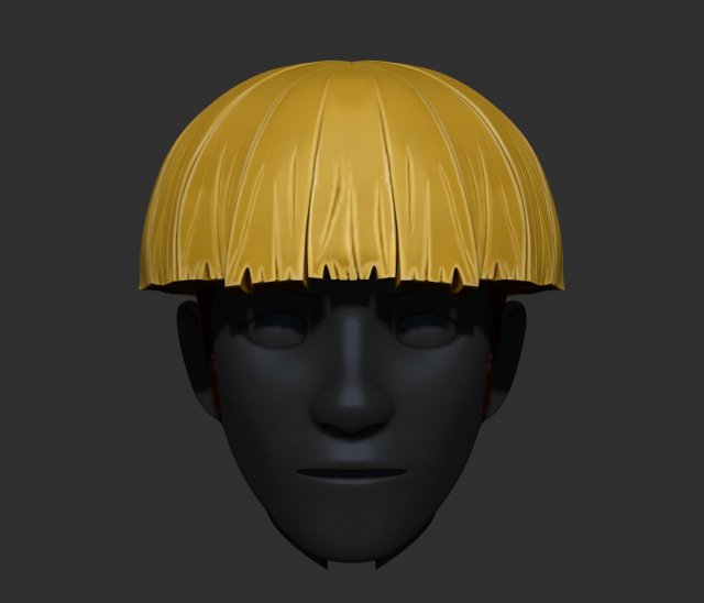 cueball hair style zbrush sculpt 3D मॉडल .c4d .max .obj .3ds .fbx .stl .blend 