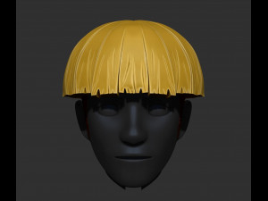 cueball hair style zbrush sculpt 3D Модель