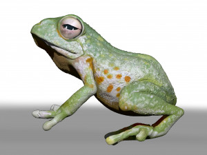 realistic cg frog zbrush sculpt and polypaint Model 3D