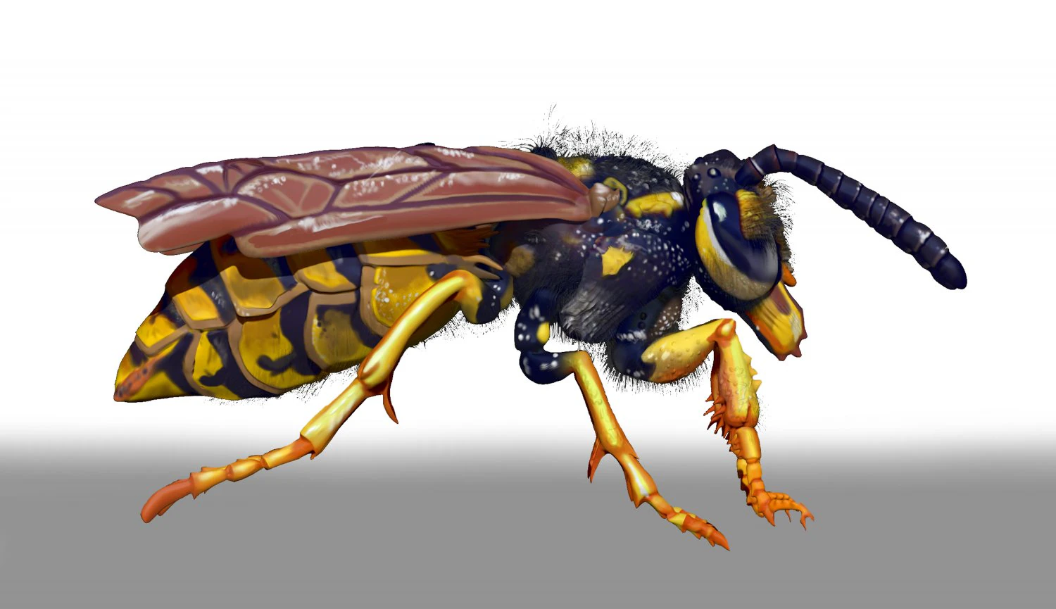 wasp character sculpt and zbrush file 3D Model .c4d .max .obj .3ds .fbx .stl .blend