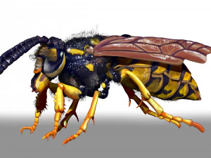wasp character sculpt and zbrush file 3D Model