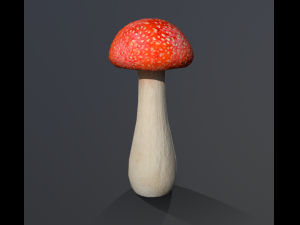 mushroom low poly model 3D Модель