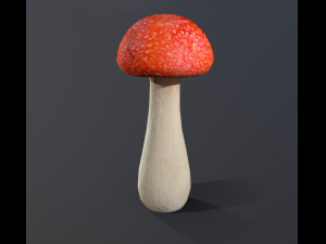 mushroom low poly model 3D Модель