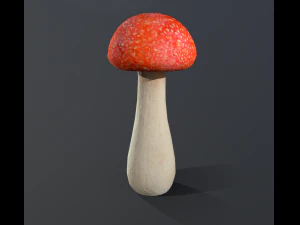 mushroom low poly model 3D Model