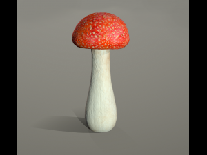 mushroom low poly model 3D Модель