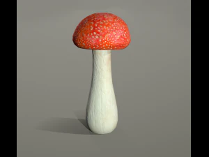 mushroom low poly model 3D Model