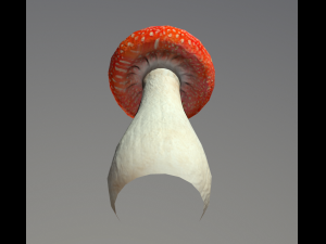 mushroom low poly model 3D Модель