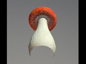 mushroom low poly model 3D Model