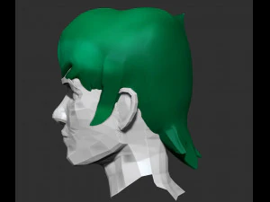 short shag zbrush sculpt and polypaint 3D Model
