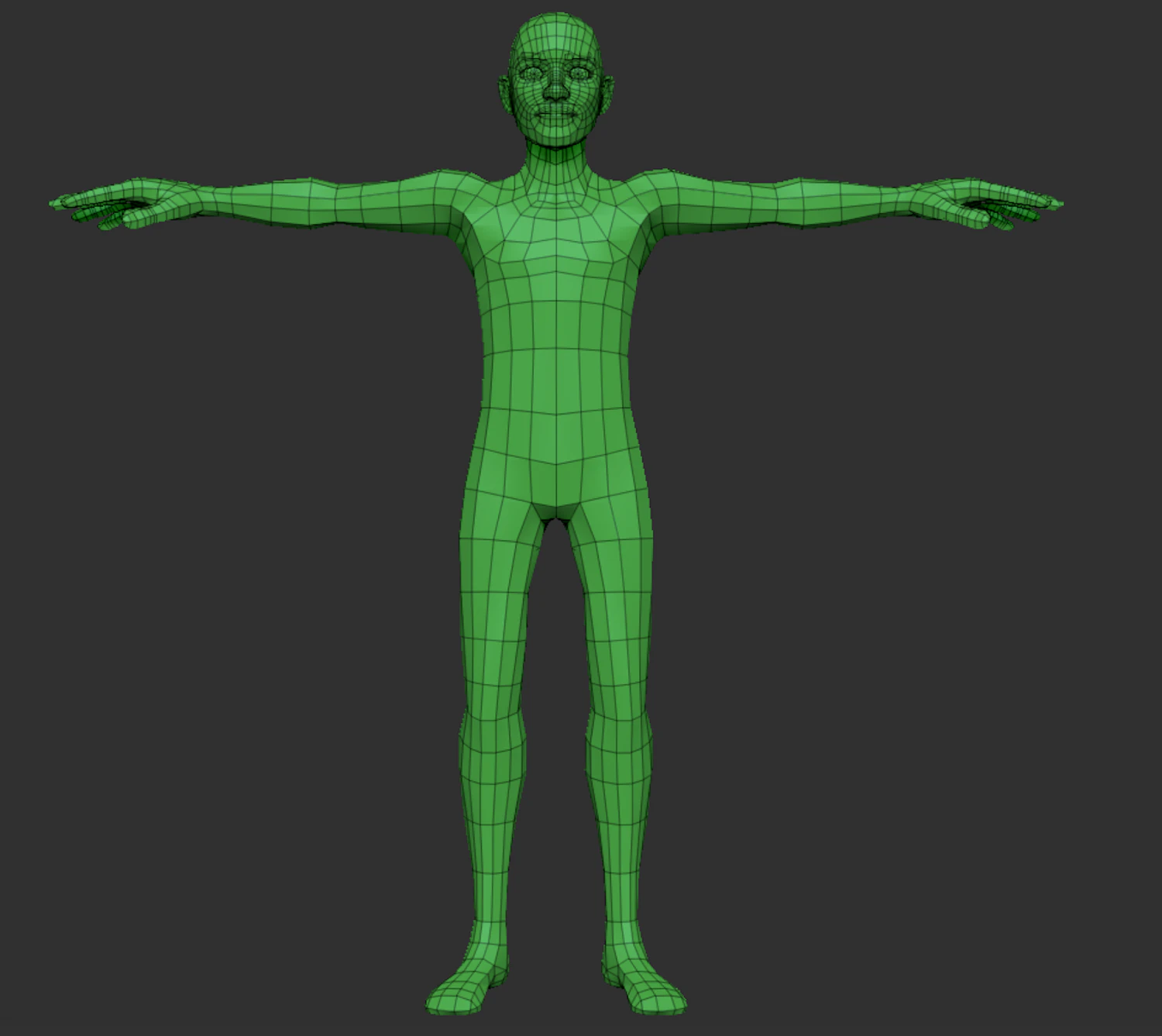 male anatomy base model 3D Model .c4d .max .obj .3ds .fbx .stl .blend 