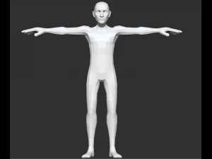 male anatomy base model 3D Model