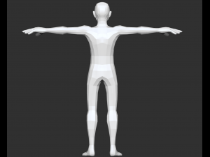male anatomy base model 3D Модель