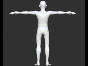 male anatomy base model 3D Model