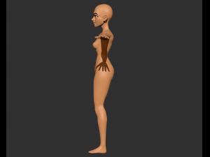 female body base mesh zbrush sculpt Modelo 3D
