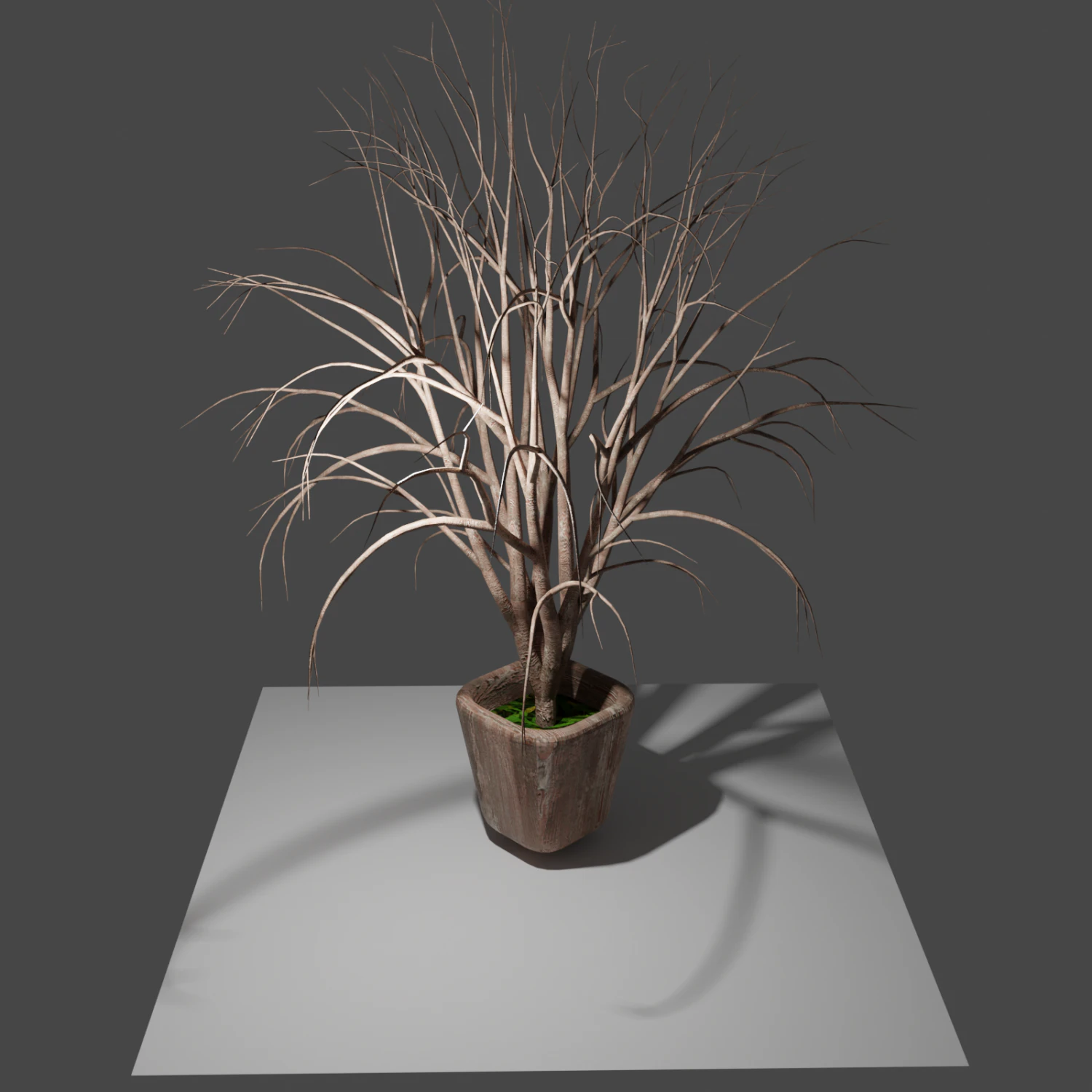 pot with tree 3D Model .c4d .max .obj .3ds .fbx .stl .blend 