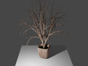 pot with tree 3D Model