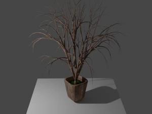 pot with tree 3D Model