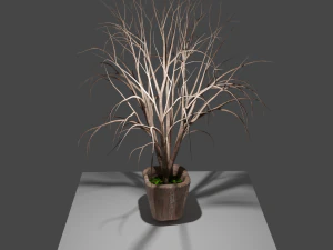 pot with tree 3D Model