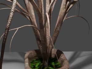 pot with tree 3D Model