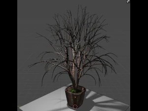 pot with tree 3D Model