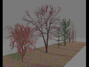 paquete7tree Modelo 3D