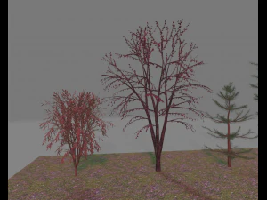 paquete7tree Modelo 3D