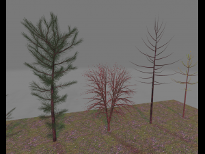 pack7tree 3D 模型