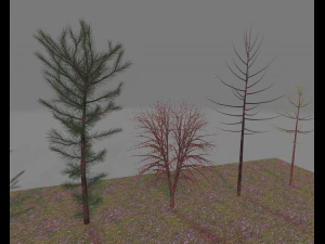 paquete7tree Modelo 3D