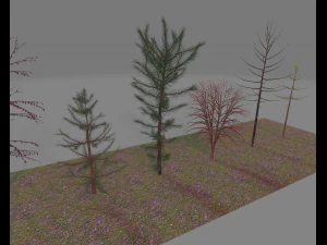 paquete7tree Modelo 3D