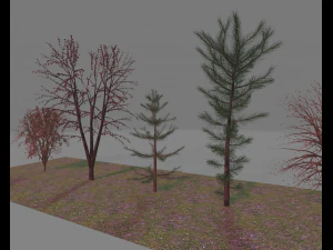 paquete7tree Modelo 3D