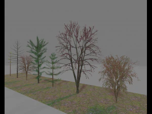 paquete7tree Modelo 3D