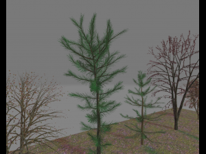 pack7tree 3D 模型